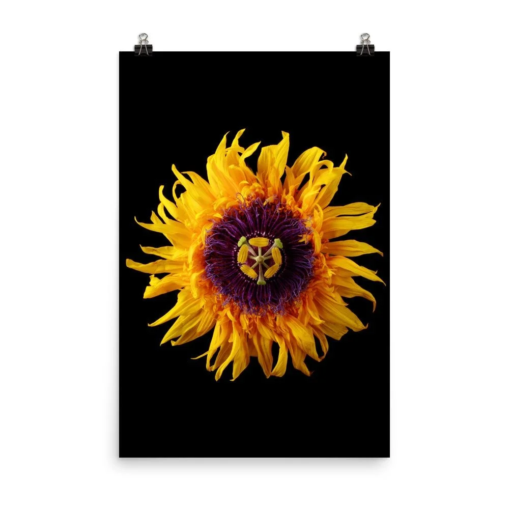 https://i.etsystatic.com/16519884/r/il/133028/2453751773/il_fullxfull.2453751773_d830.jpg
