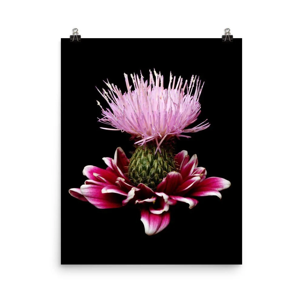 https://i.etsystatic.com/16519884/r/il/76bddc/2407072976/il_fullxfull.2407072976_tbu5.jpg