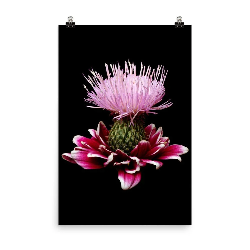 https://i.etsystatic.com/16519884/r/il/79c175/2454701817/il_fullxfull.2454701817_bu18.jpg