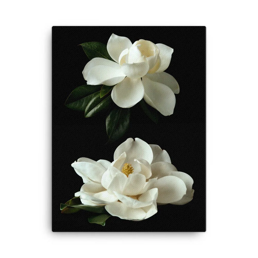 https://i.etsystatic.com/16519884/r/il/9839eb/2448935887/il_fullxfull.2448935887_lhbd.jpg
