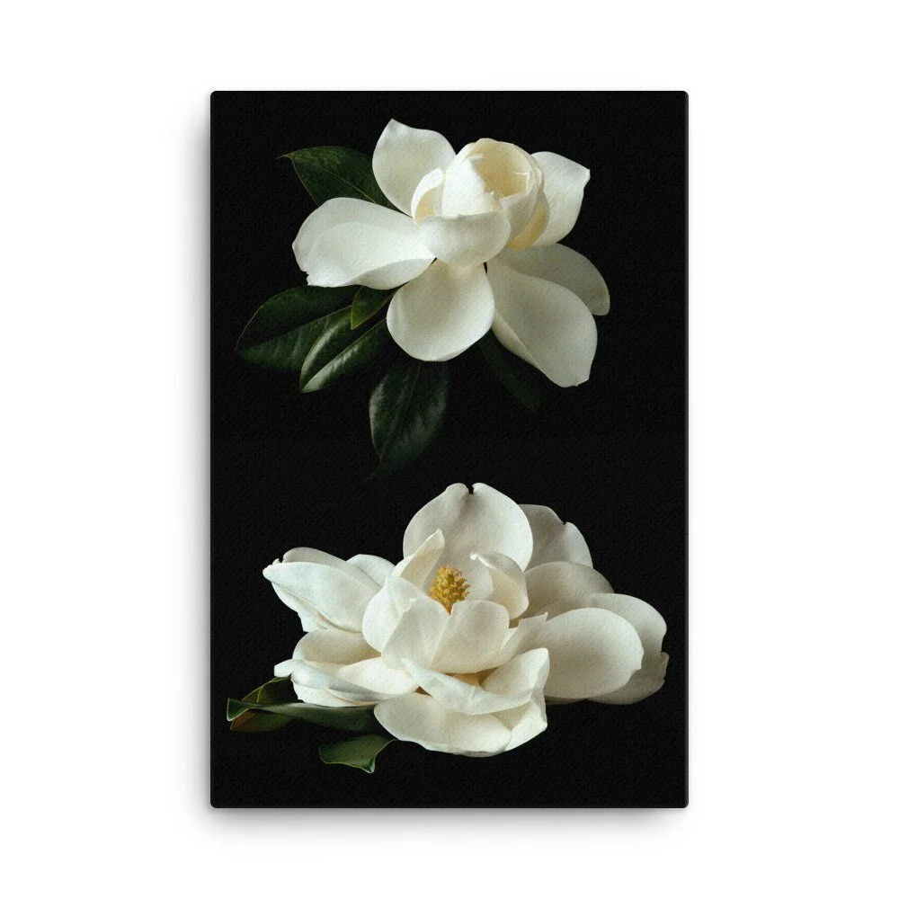 https://i.etsystatic.com/16519884/r/il/38c0b6/2448935831/il_fullxfull.2448935831_6da0.jpg