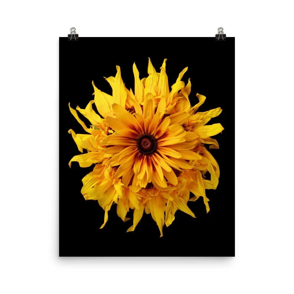 https://i.etsystatic.com/16519884/r/il/0e8486/2453097387/il_fullxfull.2453097387_ttrx.jpg
