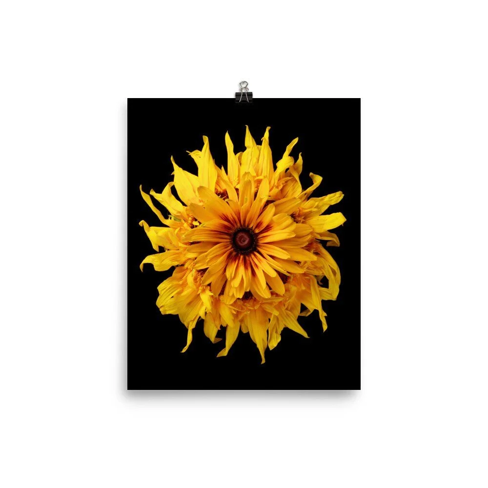 https://i.etsystatic.com/16519884/r/il/bb8318/2405467142/il_fullxfull.2405467142_l6zh.jpg