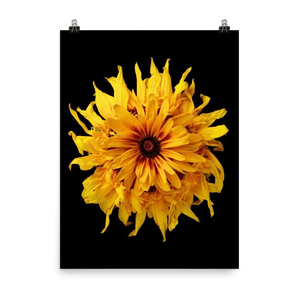https://i.etsystatic.com/16519884/r/il/d02951/2453096005/il_fullxfull.2453096005_svr5.jpg