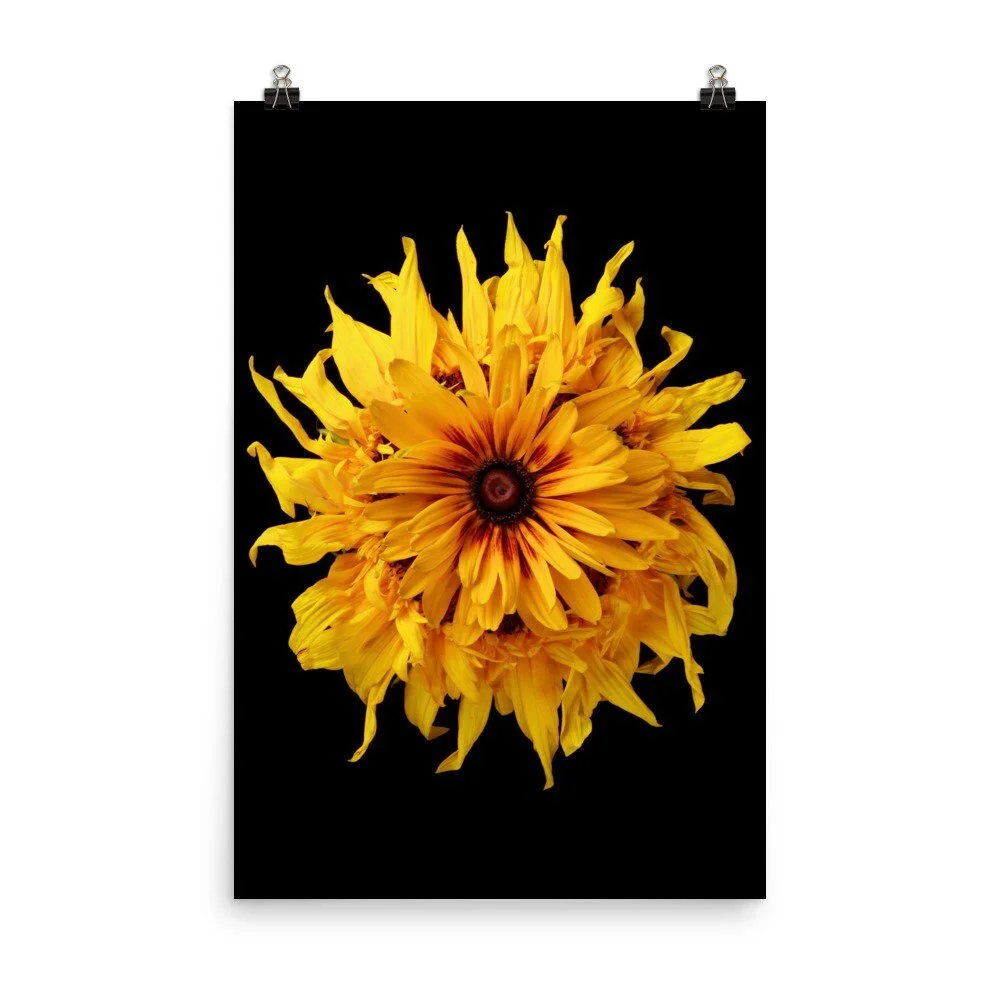 https://i.etsystatic.com/16519884/r/il/07ea0b/2405466990/il_fullxfull.2405466990_l9i5.jpg