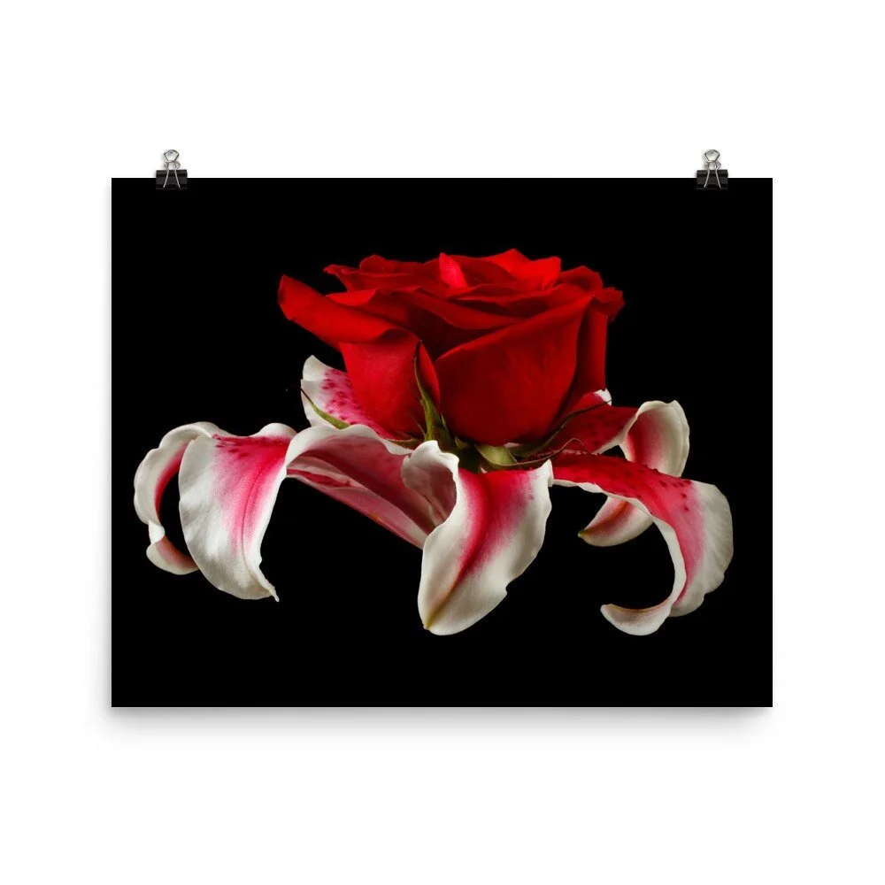 https://i.etsystatic.com/16519884/r/il/127a9b/2453430643/il_fullxfull.2453430643_q6yc.jpg
