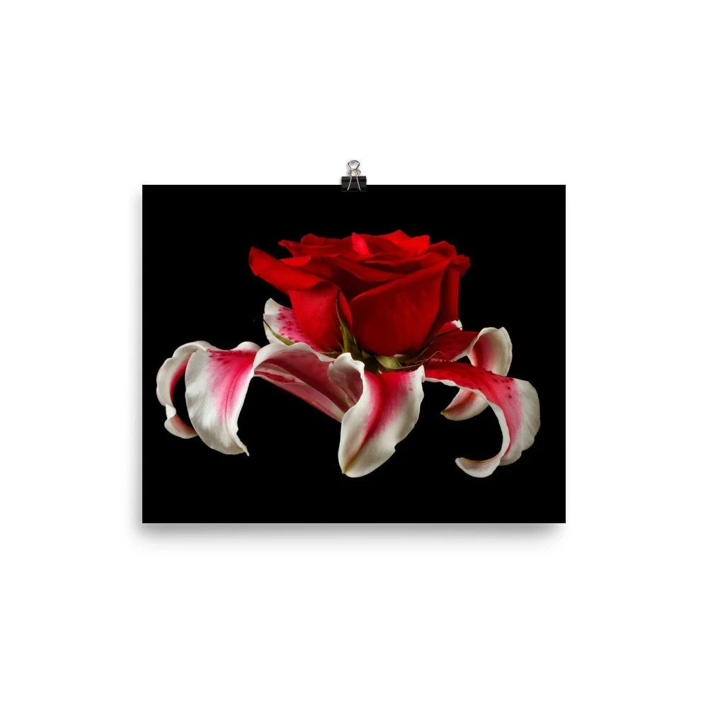 https://i.etsystatic.com/16519884/r/il/461ae1/2405798326/il_fullxfull.2405798326_sh7z.jpg