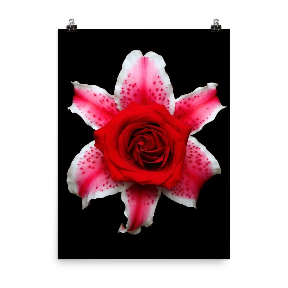 https://i.etsystatic.com/16519884/r/il/7e0ef3/2454373461/il_fullxfull.2454373461_o4a2.jpg