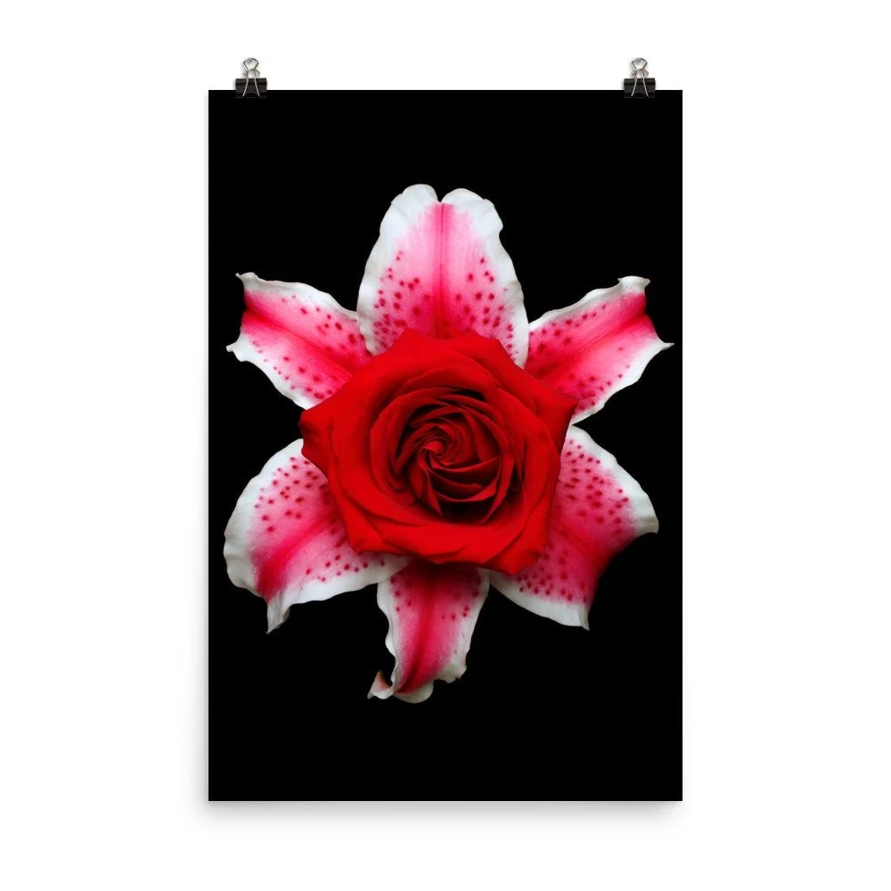 https://i.etsystatic.com/16519884/r/il/aa4888/2454373425/il_fullxfull.2454373425_fs5k.jpg