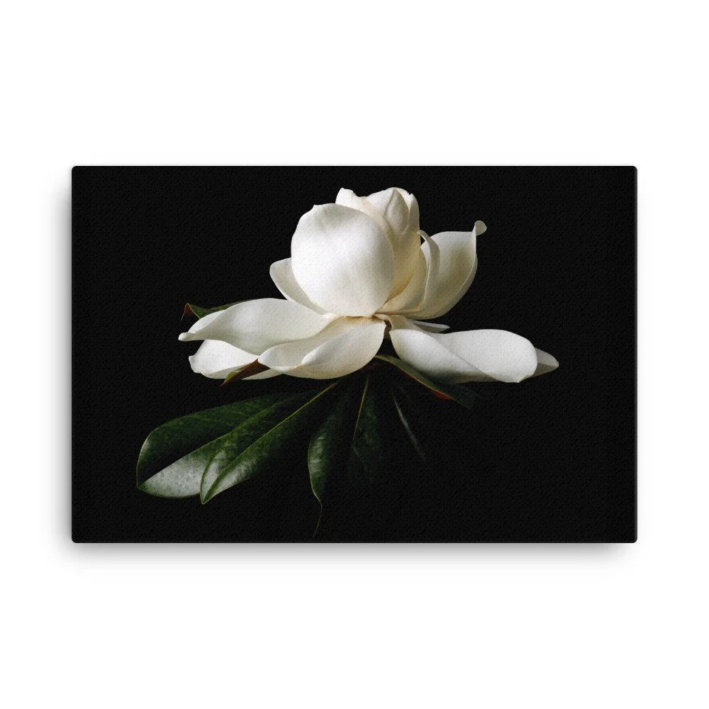 https://i.etsystatic.com/16519884/r/il/987fc1/2400798700/il_fullxfull.2400798700_8iv8.jpg