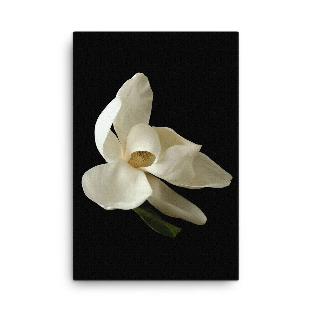 https://i.etsystatic.com/16519884/r/il/d035ae/2401213292/il_fullxfull.2401213292_2qa1.jpg