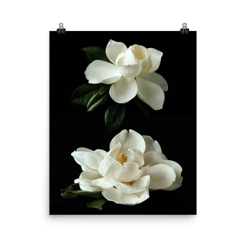 https://i.etsystatic.com/16519884/r/il/fd54f4/2448911019/il_fullxfull.2448911019_a2yq.jpg