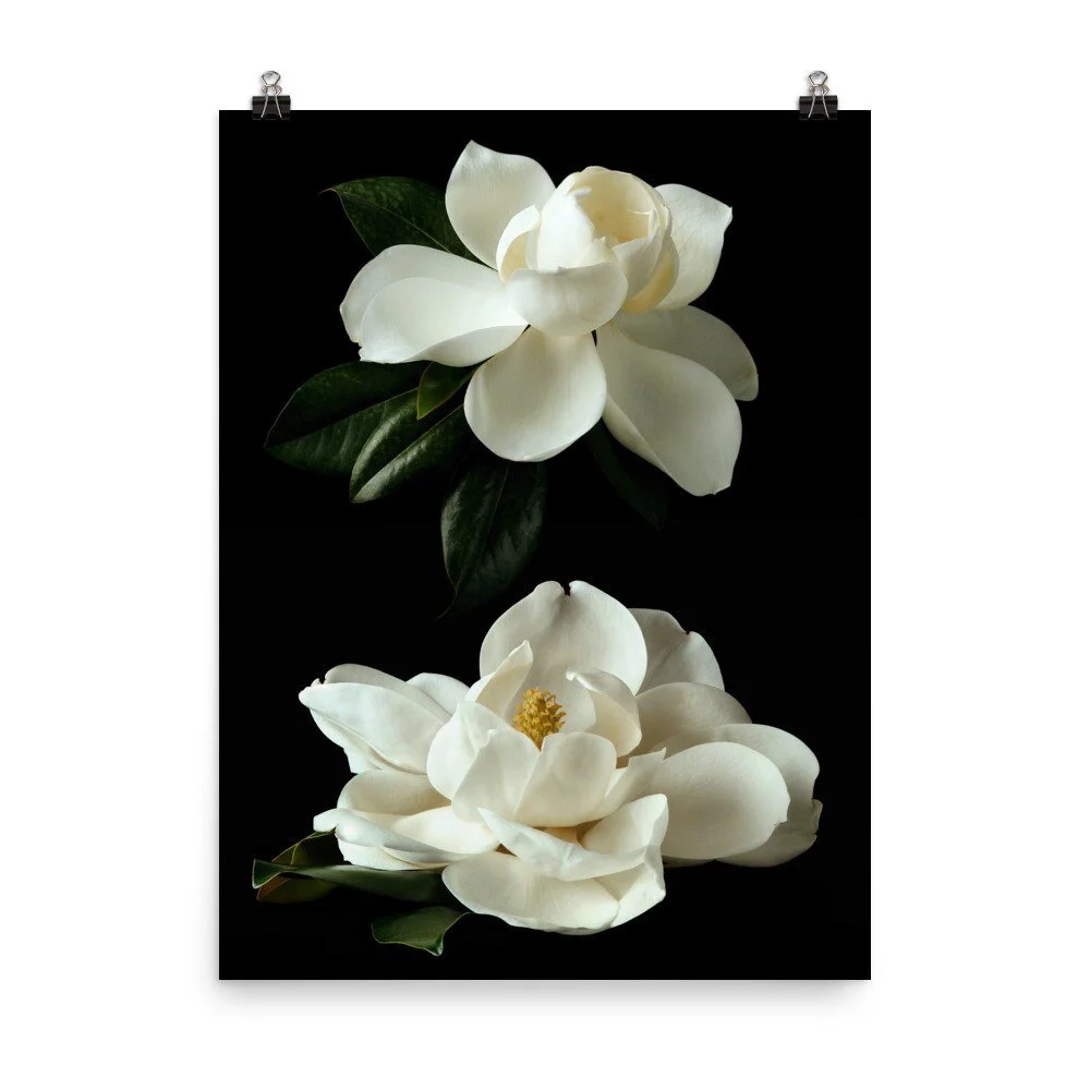 https://i.etsystatic.com/16519884/r/il/f4b66a/2401280512/il_fullxfull.2401280512_5e2l.jpg
