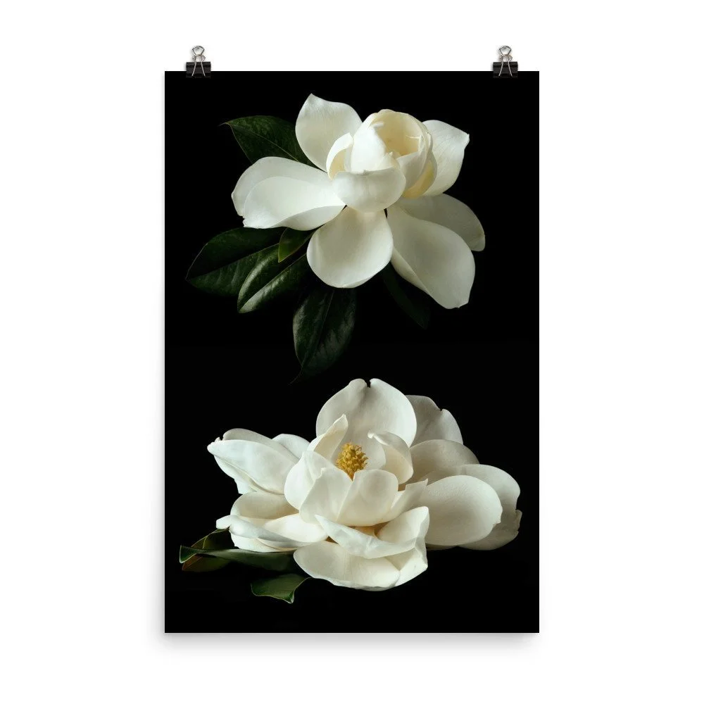 https://i.etsystatic.com/16519884/r/il/0243b9/2401280470/il_fullxfull.2401280470_iufk.jpg