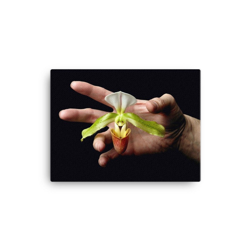 https://i.etsystatic.com/16519884/r/il/f47a5c/2402599674/il_fullxfull.2402599674_4fzw.jpg