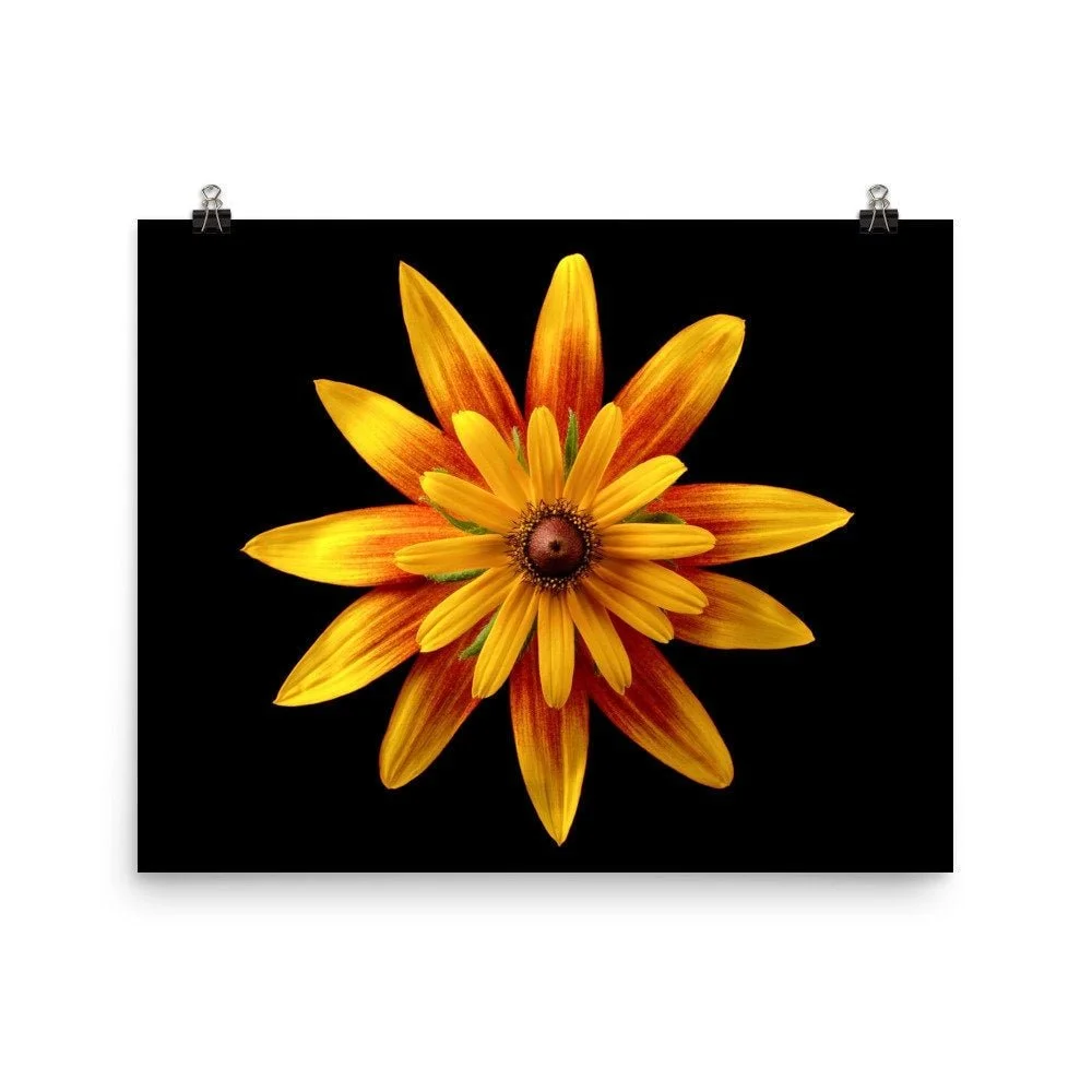 https://i.etsystatic.com/16519884/r/il/714583/2405100294/il_fullxfull.2405100294_71p0.jpg