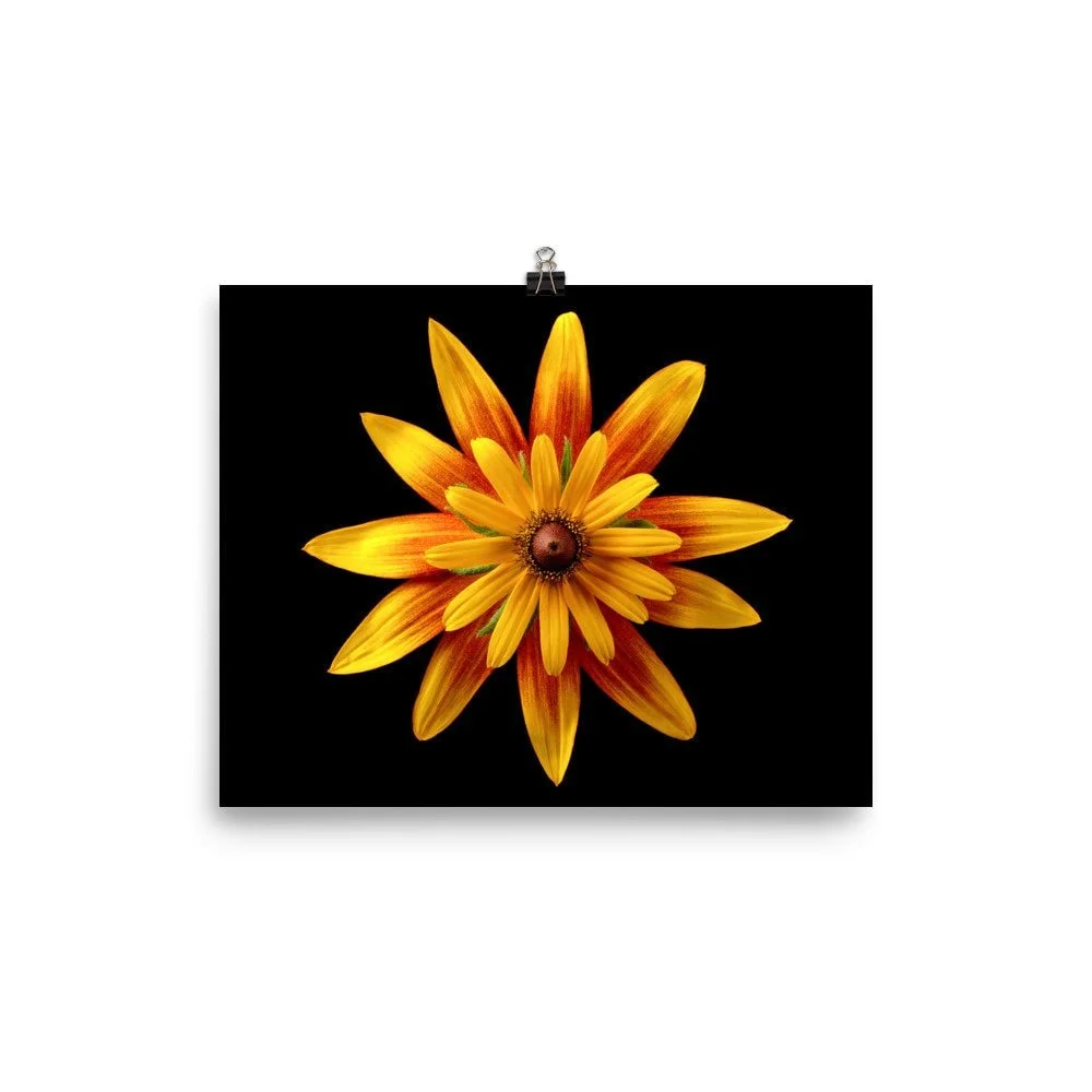 https://i.etsystatic.com/16519884/r/il/24aa11/2452730575/il_fullxfull.2452730575_l8ri.jpg