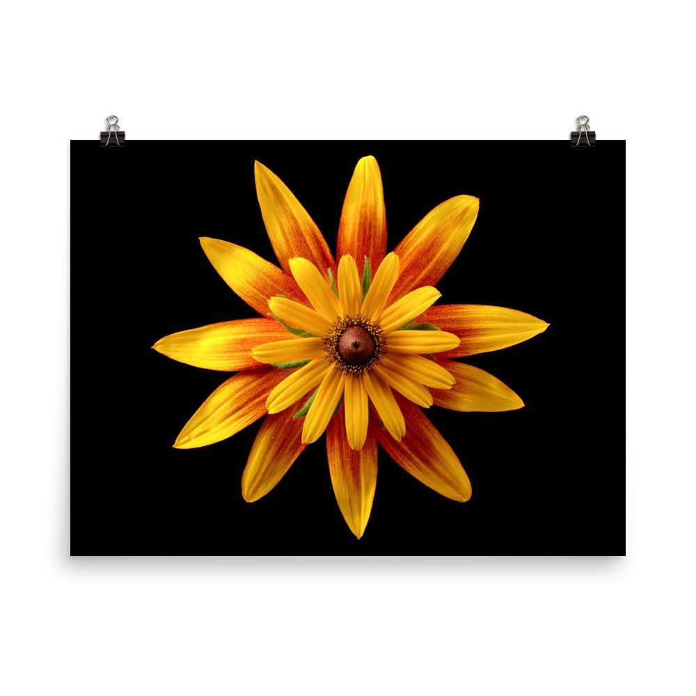 https://i.etsystatic.com/16519884/r/il/965c08/2452730523/il_fullxfull.2452730523_5rtk.jpg