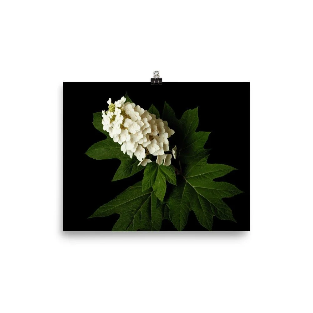 https://i.etsystatic.com/16519884/r/il/cf8f5a/2469043717/il_fullxfull.2469043717_oreb.jpg