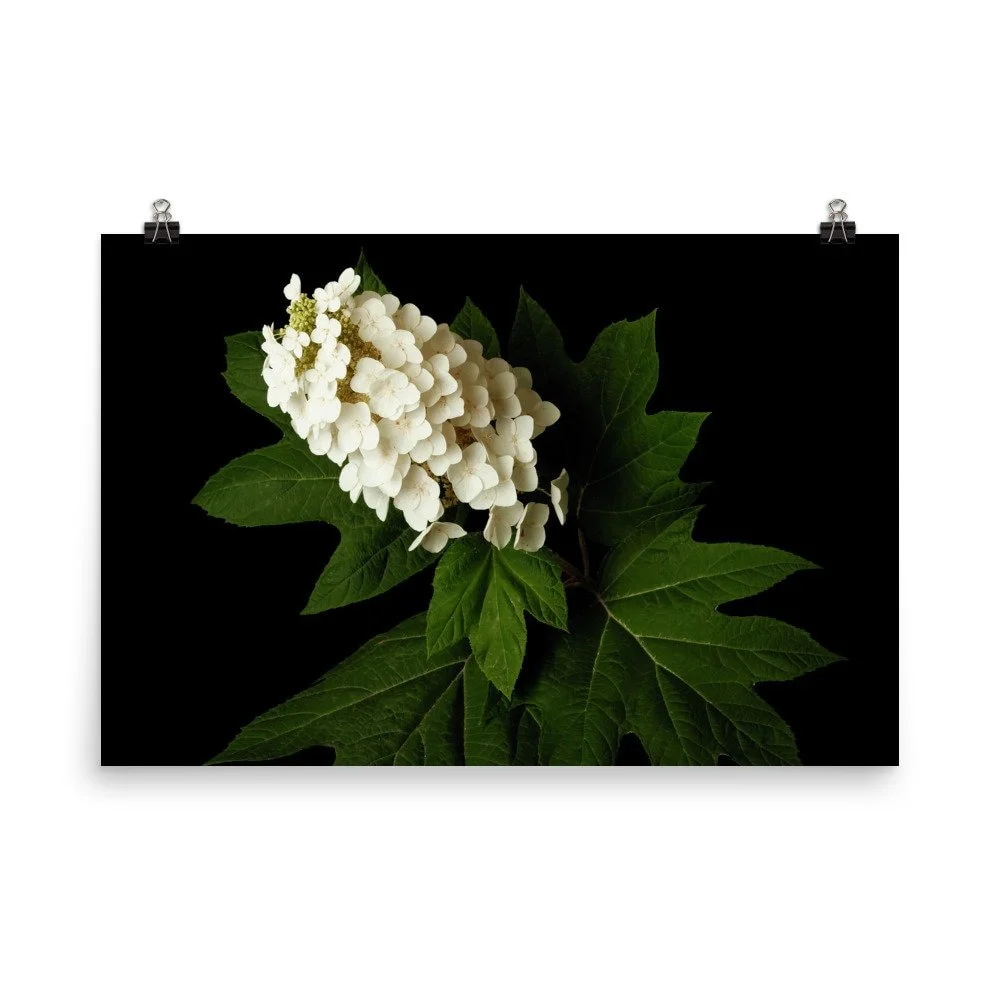 https://i.etsystatic.com/16519884/r/il/c197e1/2421417318/il_fullxfull.2421417318_q1kq.jpg