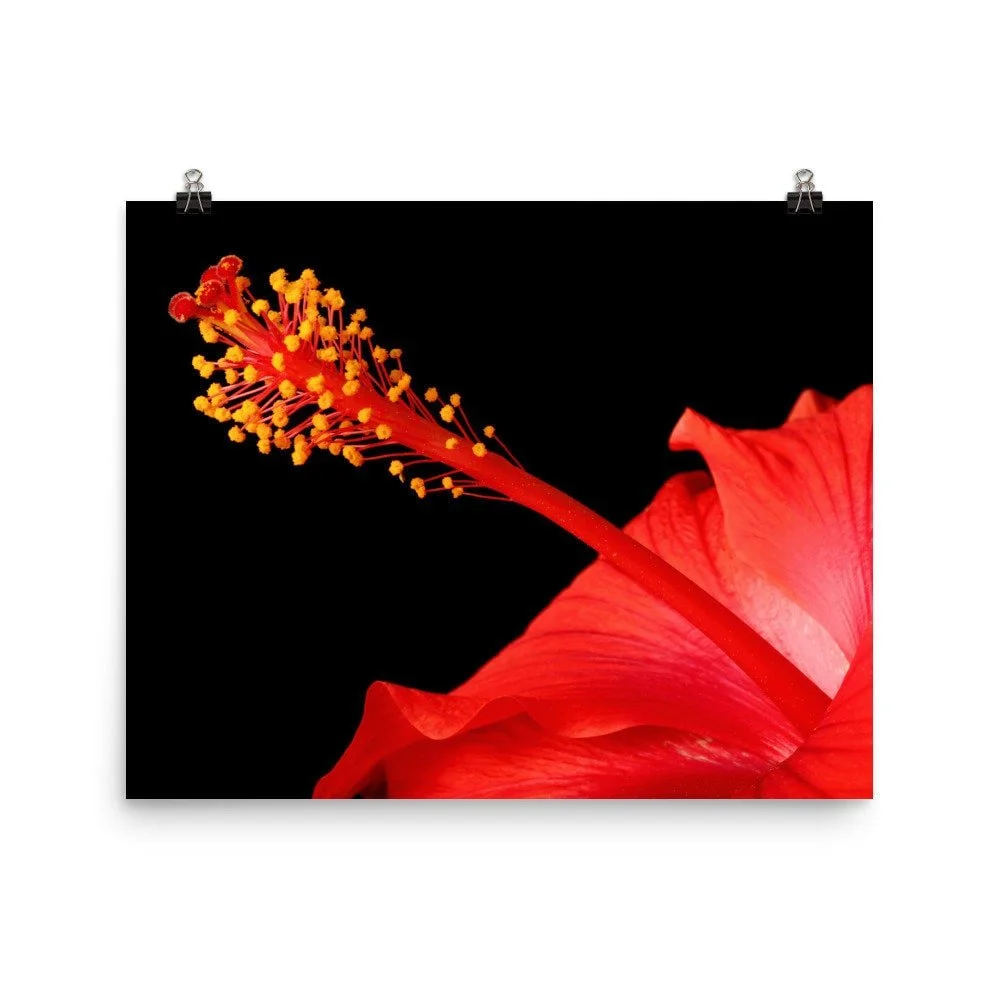 https://i.etsystatic.com/16519884/r/il/52ebeb/2470362173/il_fullxfull.2470362173_gvlb.jpg