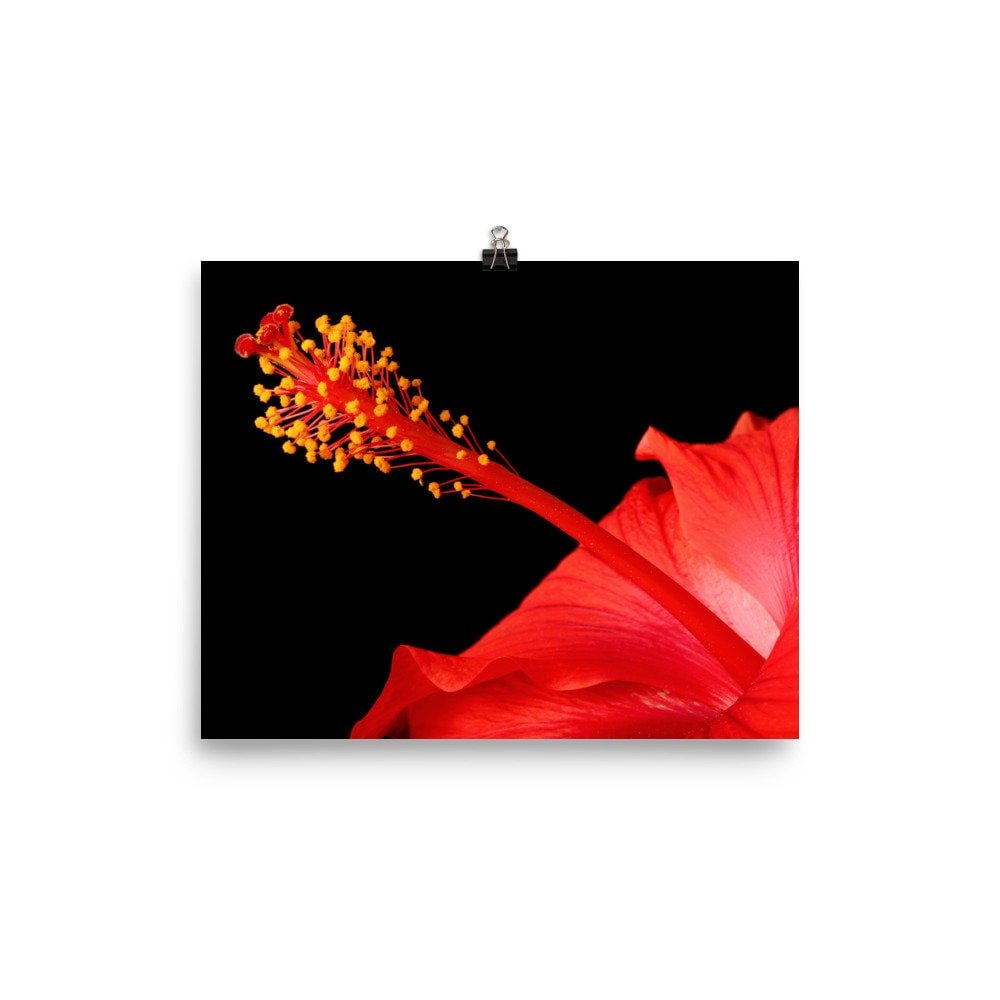 https://i.etsystatic.com/16519884/r/il/59935e/2422732054/il_fullxfull.2422732054_5dal.jpg