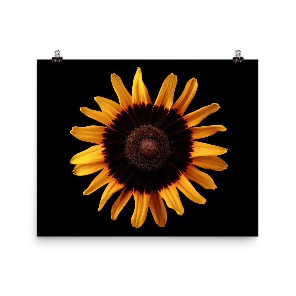 https://i.etsystatic.com/16519884/r/il/330fb4/2470597327/il_fullxfull.2470597327_dcut.jpg
