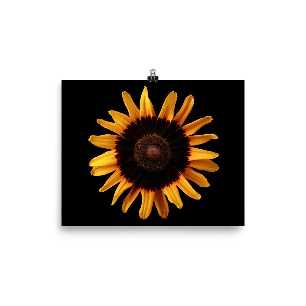 https://i.etsystatic.com/16519884/r/il/29a6b9/2470595977/il_fullxfull.2470595977_l0mo.jpg