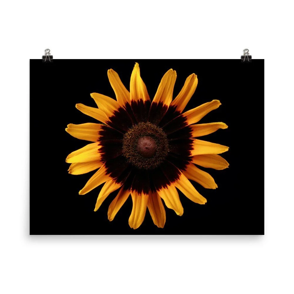 https://i.etsystatic.com/16519884/r/il/1dd83c/2470595897/il_fullxfull.2470595897_d8s0.jpg