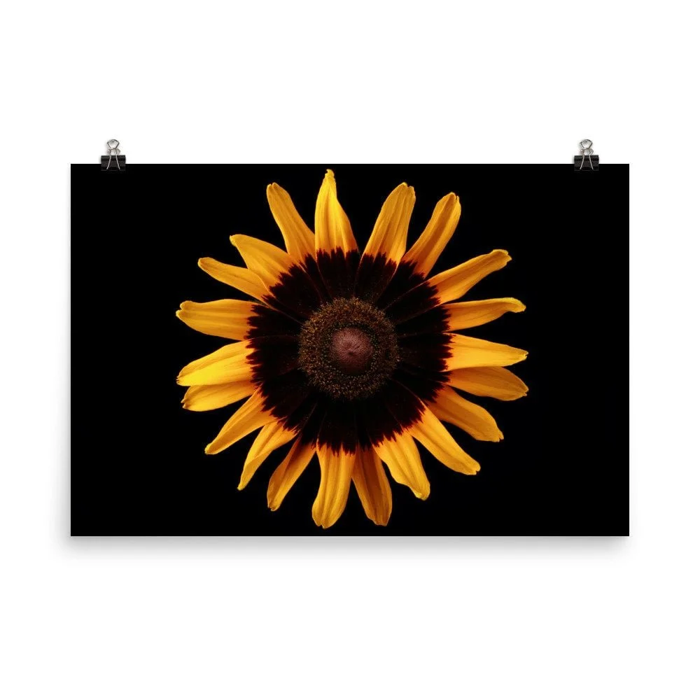 https://i.etsystatic.com/16519884/r/il/3f8a5e/2422966958/il_fullxfull.2422966958_k039.jpg