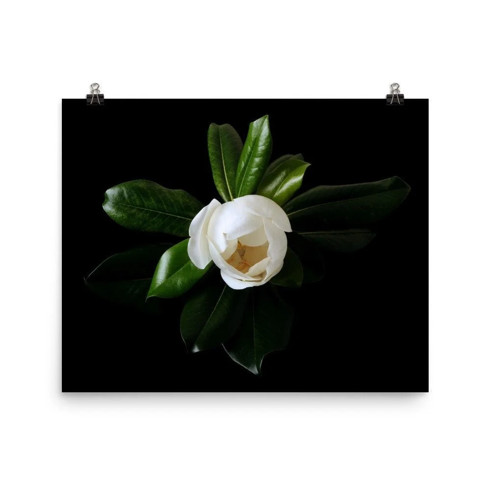 https://i.etsystatic.com/16519884/r/il/4bd182/2473637487/il_fullxfull.2473637487_bc9d.jpg
