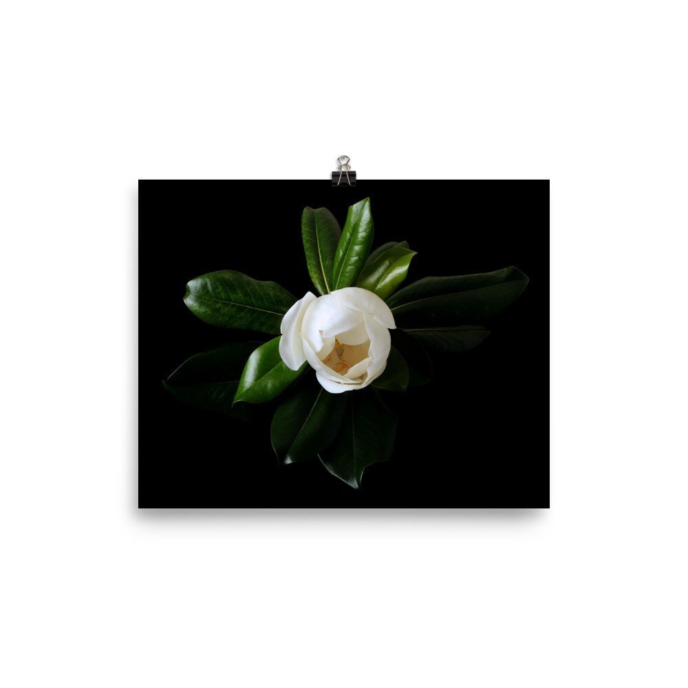 https://i.etsystatic.com/16519884/r/il/7af007/2473636759/il_fullxfull.2473636759_i0nj.jpg