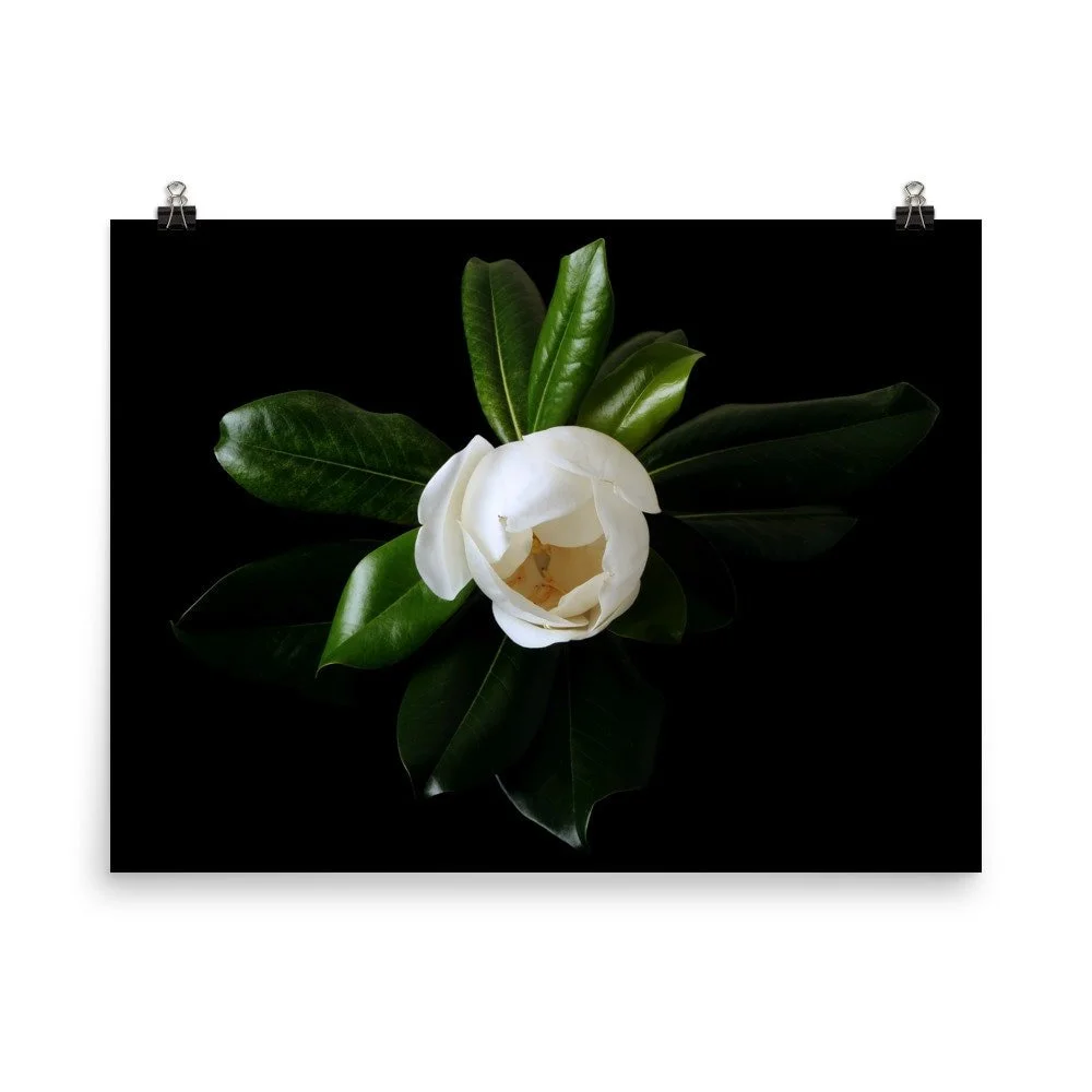 https://i.etsystatic.com/16519884/r/il/e34ce7/2473636715/il_fullxfull.2473636715_sm9m.jpg
