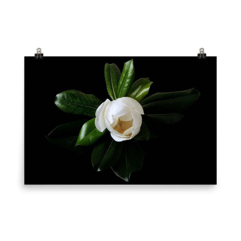 https://i.etsystatic.com/16519884/r/il/ad2a49/2473636679/il_fullxfull.2473636679_5kir.jpg