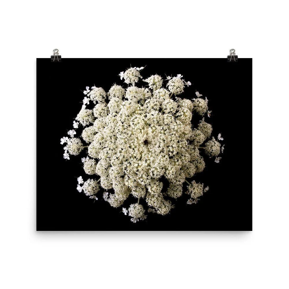 https://i.etsystatic.com/16519884/r/il/138753/2448398359/il_fullxfull.2448398359_328v.jpg