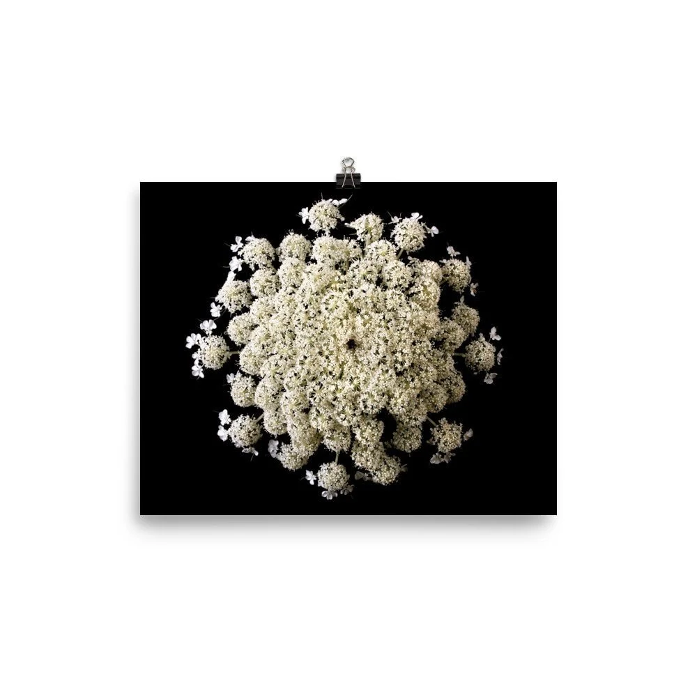 https://i.etsystatic.com/16519884/r/il/8b1075/2400764244/il_fullxfull.2400764244_aibd.jpg