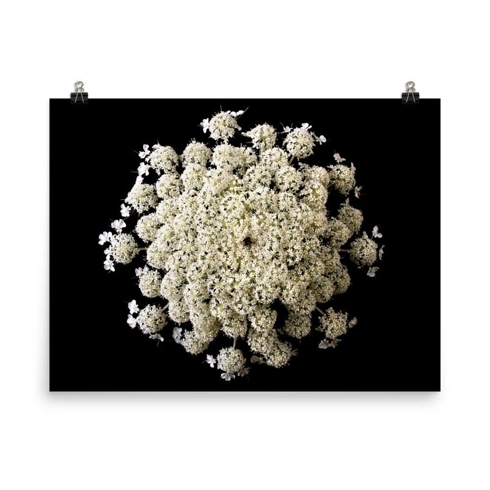 https://i.etsystatic.com/16519884/r/il/0d2f9a/2400764200/il_fullxfull.2400764200_d88x.jpg