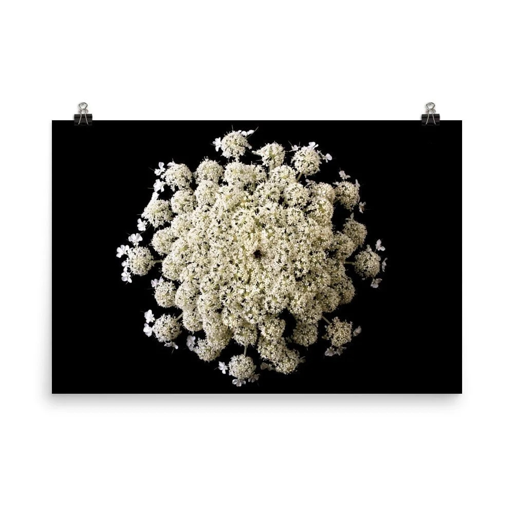 https://i.etsystatic.com/16519884/r/il/699877/2400764160/il_fullxfull.2400764160_ffj5.jpg