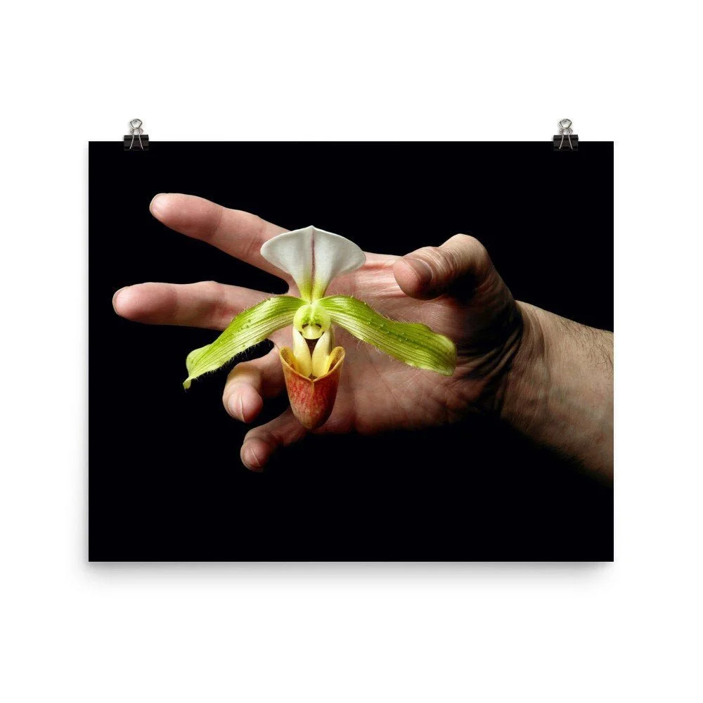 https://i.etsystatic.com/16519884/r/il/bee63c/2401555892/il_fullxfull.2401555892_ancp.jpg