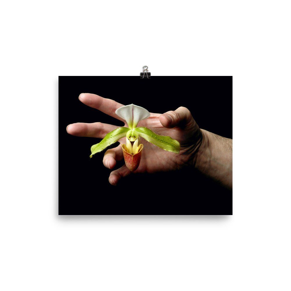 https://i.etsystatic.com/16519884/r/il/da1ee5/2449185463/il_fullxfull.2449185463_pzfk.jpg