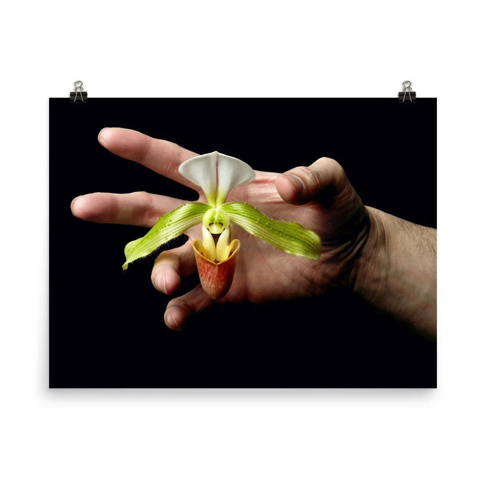 https://i.etsystatic.com/16519884/r/il/6374bd/2401554708/il_fullxfull.2401554708_jy1h.jpg