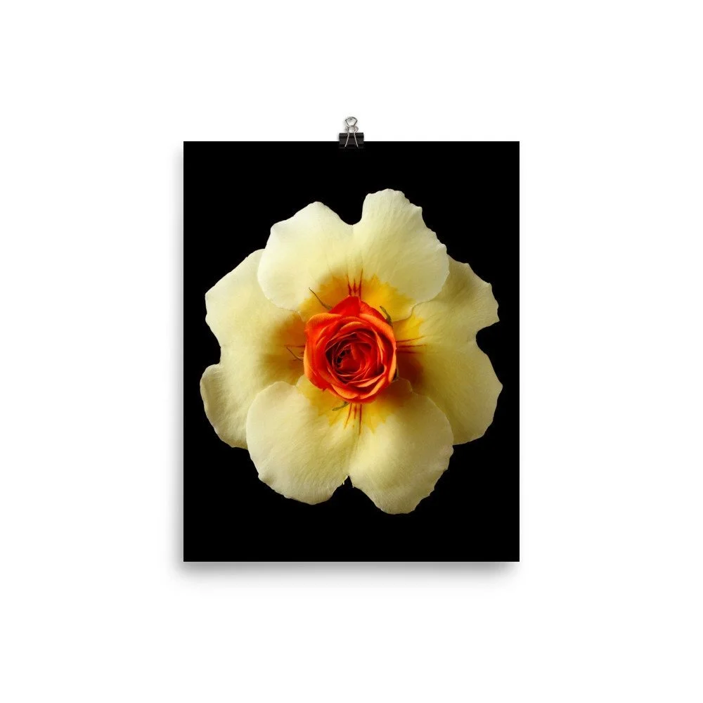 https://i.etsystatic.com/16519884/r/il/7353c1/2265763887/il_fullxfull.2265763887_eqzy.jpg