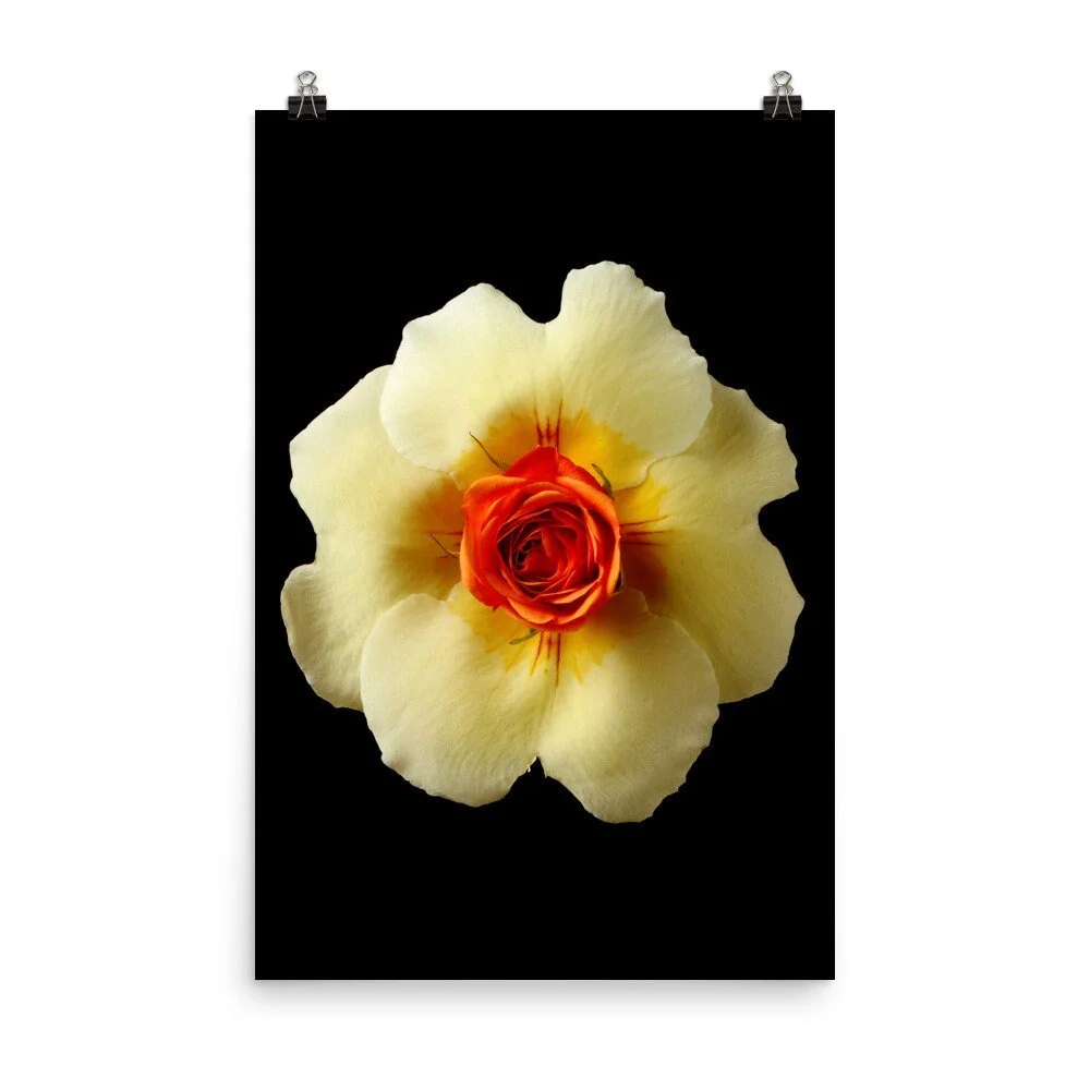 https://i.etsystatic.com/16519884/r/il/7e7aef/2265763793/il_fullxfull.2265763793_iwjm.jpg