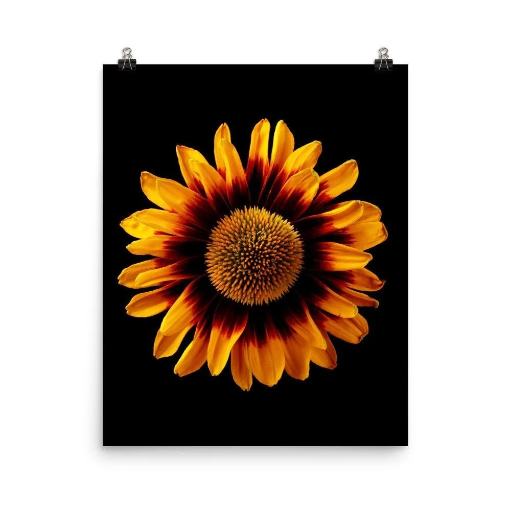 https://i.etsystatic.com/16519884/r/il/d458fc/2218184322/il_fullxfull.2218184322_4bp5.jpg