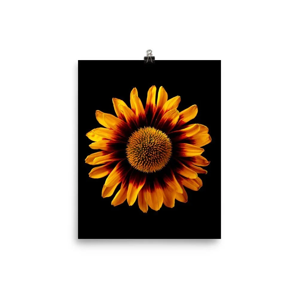 https://i.etsystatic.com/16519884/r/il/d333a4/2265781235/il_fullxfull.2265781235_g4ss.jpg