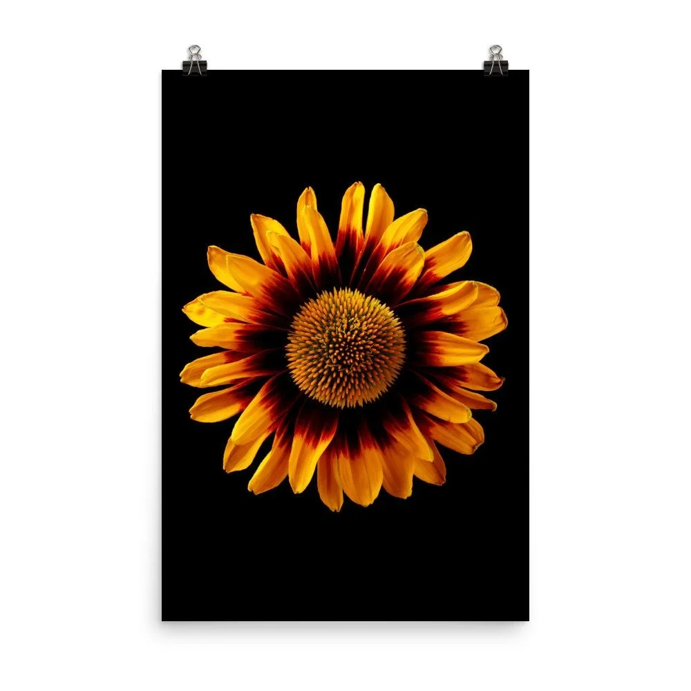 https://i.etsystatic.com/16519884/r/il/268ab2/2218183668/il_fullxfull.2218183668_h6er.jpg