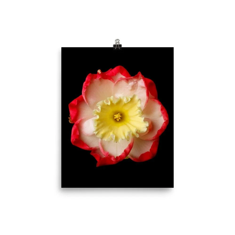 https://i.etsystatic.com/16519884/r/il/4cc8eb/2218205490/il_fullxfull.2218205490_epb2.jpg