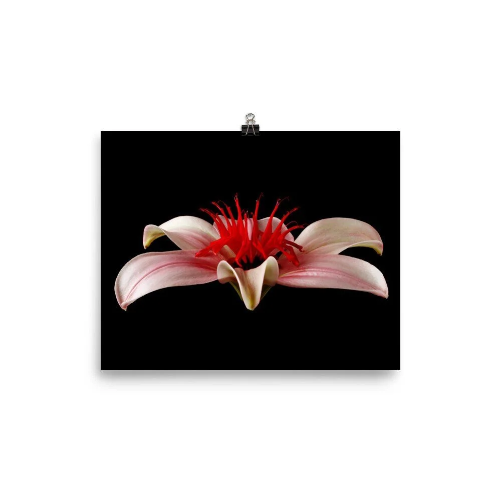 https://i.etsystatic.com/16519884/r/il/04ab22/2265736705/il_fullxfull.2265736705_nyr3.jpg