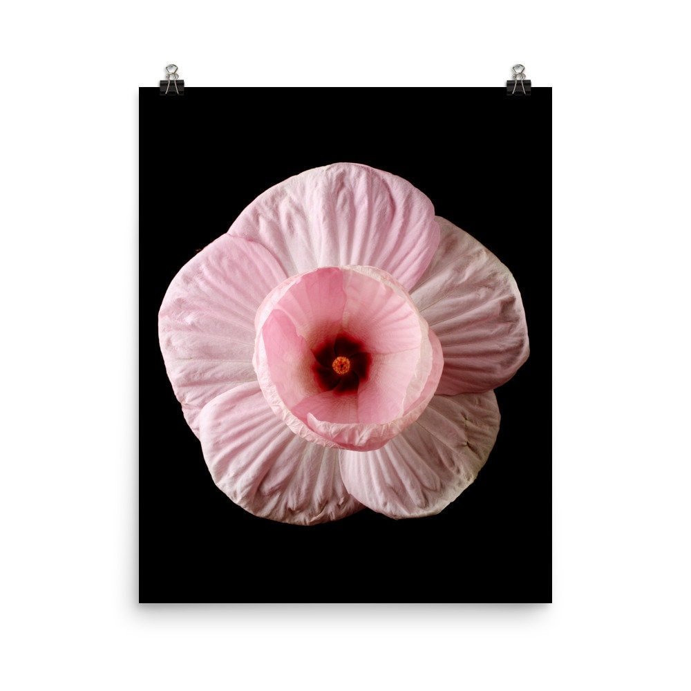 https://i.etsystatic.com/16519884/r/il/0b0cfc/2216895958/il_fullxfull.2216895958_19d6.jpg