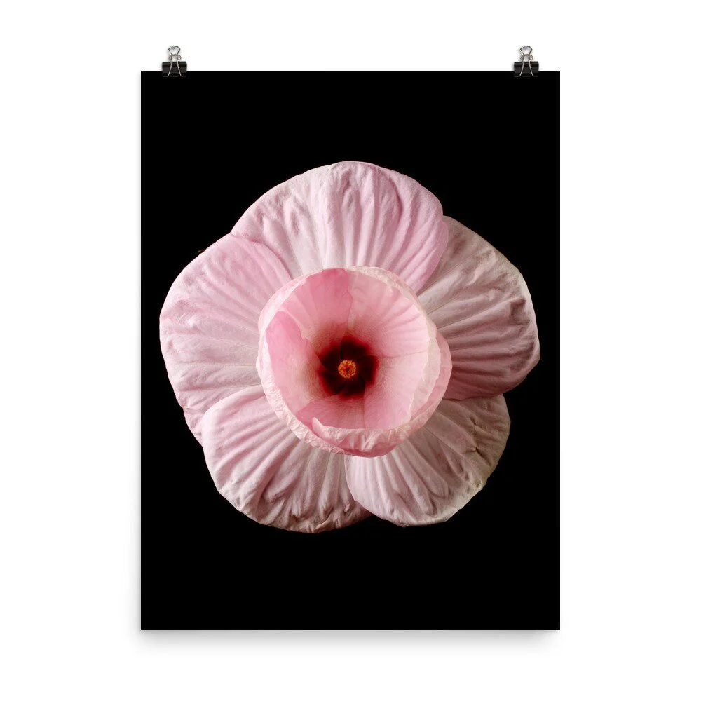 https://i.etsystatic.com/16519884/r/il/73e91f/2216895222/il_fullxfull.2216895222_f0kj.jpg